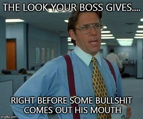 That Would Be Great Meme | THE LOOK YOUR BOSS GIVES.... RIGHT BEFORE SOME BULLSHIT COMES OUT HIS MOUTH | image tagged in memes,that would be great | made w/ Imgflip meme maker