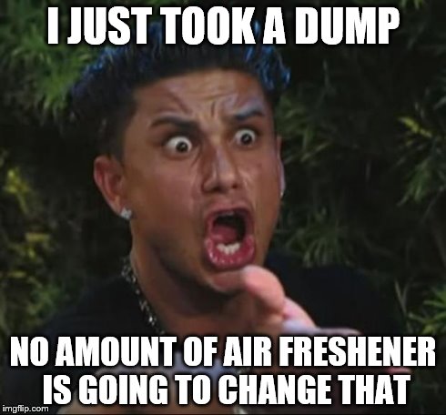 DJ Pauly D Meme | I JUST TOOK A DUMP NO AMOUNT OF AIR FRESHENER IS GOING TO CHANGE THAT | image tagged in memes,dj pauly d | made w/ Imgflip meme maker