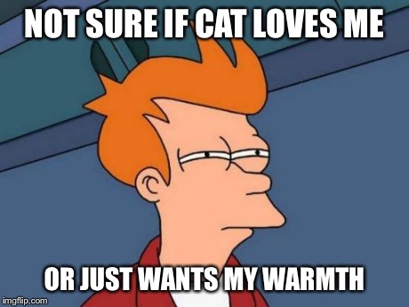 Futurama Fry | NOT SURE IF CAT LOVES ME OR JUST WANTS MY WARMTH | image tagged in memes,futurama fry | made w/ Imgflip meme maker