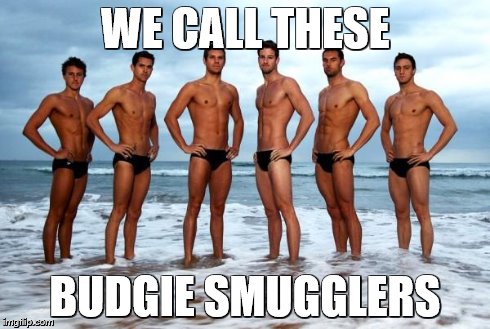 Hot Australian Swimming Team | WE CALL THESE BUDGIE SMUGGLERS | image tagged in hot australian swimming team | made w/ Imgflip meme maker