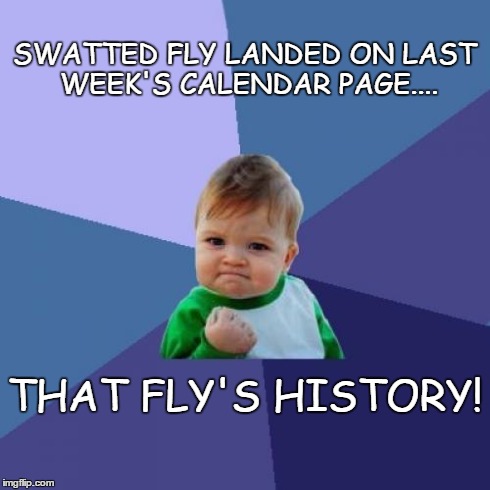 Success Kid | SWATTED FLY LANDED ON LAST WEEK'S CALENDAR PAGE.... THAT FLY'S HISTORY! | image tagged in memes,success kid | made w/ Imgflip meme maker
