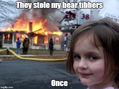 Disaster Girl | They stole my bear tibbers Once | image tagged in memes,disaster girl | made w/ Imgflip meme maker