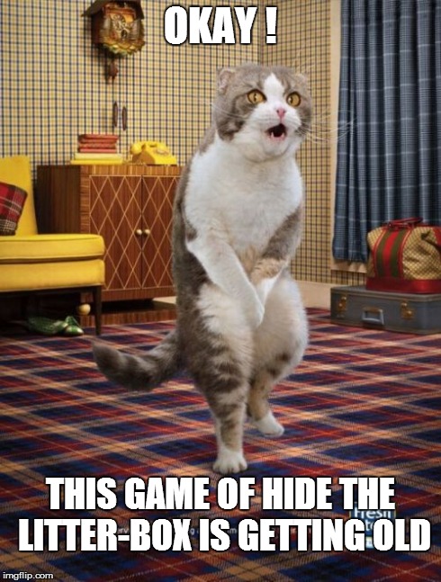 Gotta Go Cat | OKAY ! THIS GAME OF HIDE THE LITTER-BOX IS GETTING OLD | image tagged in memes,gotta go cat | made w/ Imgflip meme maker