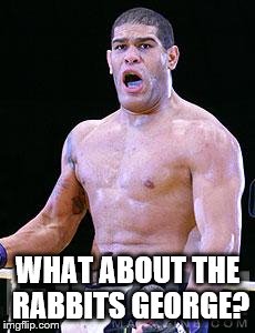 Antonio silva | WHAT ABOUT THE RABBITS GEORGE? | image tagged in funny | made w/ Imgflip meme maker