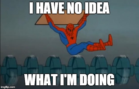 spiderman grind | I HAVE NO IDEA WHAT I'M DOING | image tagged in spiderman grind | made w/ Imgflip meme maker