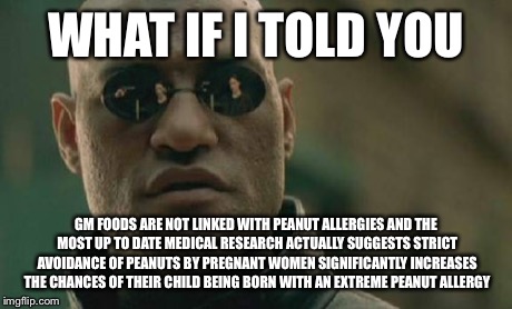 Matrix Morpheus Meme | WHAT IF I TOLD YOU GM FOODS ARE NOT LINKED WITH PEANUT ALLERGIES AND THE MOST UP TO DATE MEDICAL RESEARCH ACTUALLY SUGGESTS STRICT AVOIDANCE | image tagged in memes,matrix morpheus | made w/ Imgflip meme maker