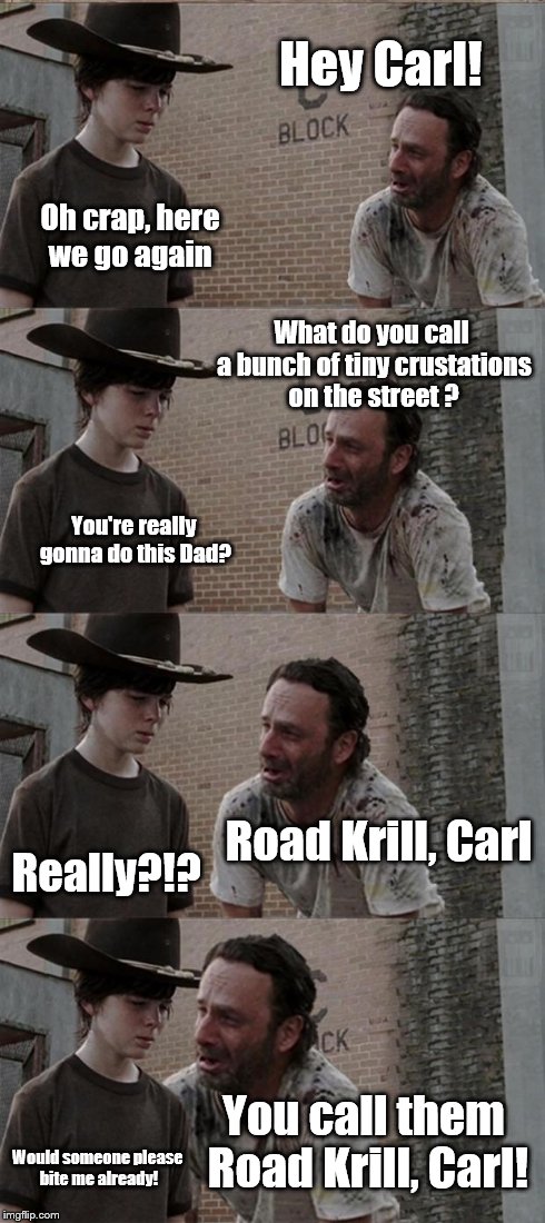 Rick and Carl Long | Hey Carl! Oh crap, here we go again What do you call a bunch of tiny crustations on the street ? You're really gonna do this Dad? Road Krill | image tagged in memes,rick and carl long | made w/ Imgflip meme maker