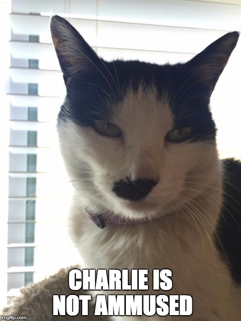 CHARLIE IS NOT AMMUSED | image tagged in charlie | made w/ Imgflip meme maker