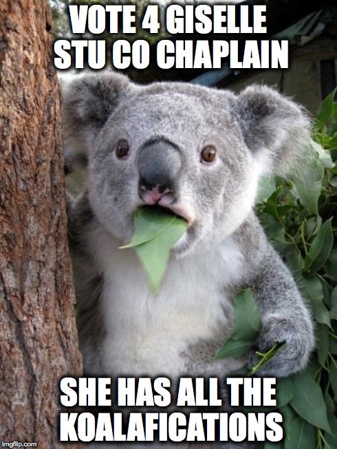 Surprised Koala | VOTE 4 GISELLE STU CO CHAPLAIN SHE HAS ALL THE KOALAFICATIONS | image tagged in memes,surprised koala | made w/ Imgflip meme maker