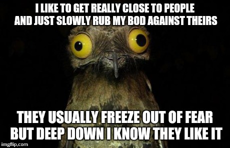 Making awkward is fun | I LIKE TO GET REALLY CLOSE TO PEOPLE AND JUST SLOWLY RUB MY BOD AGAINST THEIRS THEY USUALLY FREEZE OUT OF FEAR BUT DEEP DOWN I KNOW THEY LIK | image tagged in wierd stuff i do potoo | made w/ Imgflip meme maker