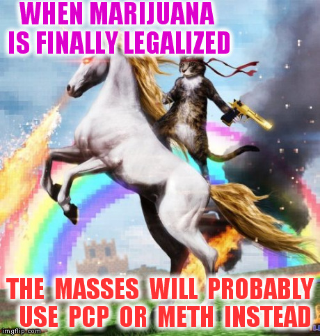 Welcome To The Internets | WHEN MARIJUANA IS FINALLY LEGALIZED THE  MASSES  WILL  PROBABLY  USE  PCP  OR  METH  INSTEAD | image tagged in memes,welcome to the internets | made w/ Imgflip meme maker