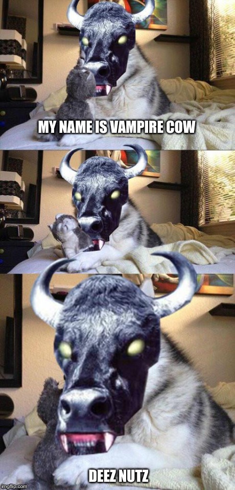 bad pun vampire cow | MY NAME IS VAMPIRE COW DEEZ NUTZ | image tagged in bad pun vampire cow | made w/ Imgflip meme maker