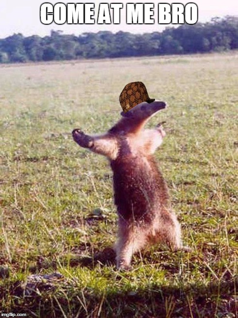 Fight me anteater | COME AT ME BRO | image tagged in fight me anteater,scumbag | made w/ Imgflip meme maker