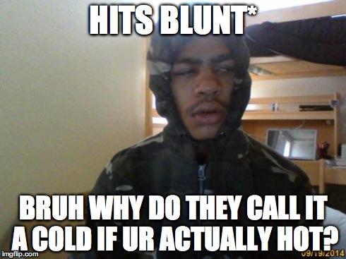 Hits Blunt | HITS BLUNT* BRUH WHY DO THEY CALL IT A COLD IF UR ACTUALLY HOT? | image tagged in hits blunt | made w/ Imgflip meme maker