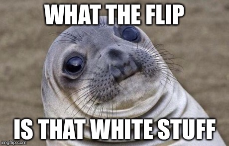 Awkward Moment Sealion Meme | WHAT THE FLIP IS THAT WHITE STUFF | image tagged in memes,awkward moment sealion | made w/ Imgflip meme maker
