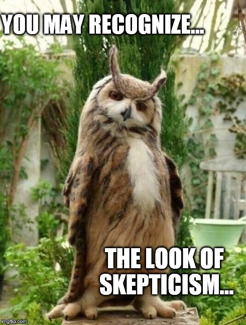 YOU MAY RECOGNIZE... THE LOOK OF SKEPTICISM... | image tagged in cool owl | made w/ Imgflip meme maker