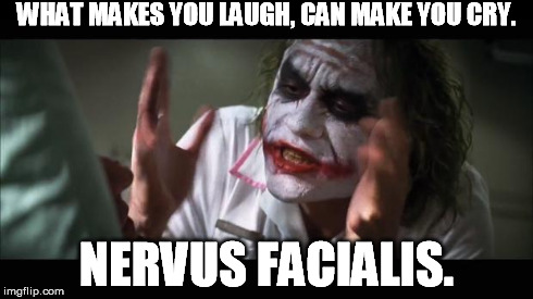 Nervus facialis. | WHAT MAKES YOU LAUGH,
CAN MAKE YOU CRY. NERVUS FACIALIS. | image tagged in memes,and everybody loses their minds | made w/ Imgflip meme maker