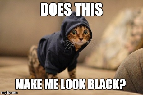 Just stay out of Baltimore, and you should be fine.  | DOES THIS MAKE ME LOOK BLACK? | image tagged in memes,hoody cat | made w/ Imgflip meme maker