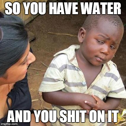 Third World Skeptical Kid Meme | SO YOU HAVE WATER AND YOU SHIT ON IT | image tagged in memes,third world skeptical kid | made w/ Imgflip meme maker