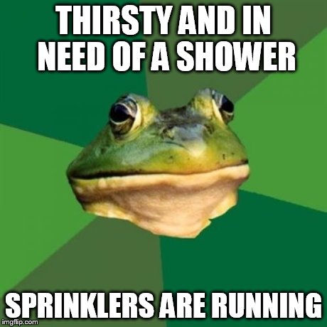 Would save money in a drought, though not practical. | THIRSTY AND IN NEED OF A SHOWER SPRINKLERS ARE RUNNING | image tagged in memes,foul bachelor frog | made w/ Imgflip meme maker