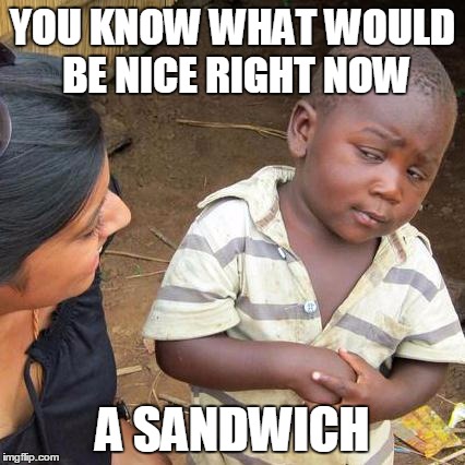 Third World Skeptical Kid Meme | YOU KNOW WHAT WOULD BE NICE RIGHT NOW A SANDWICH | image tagged in memes,third world skeptical kid | made w/ Imgflip meme maker