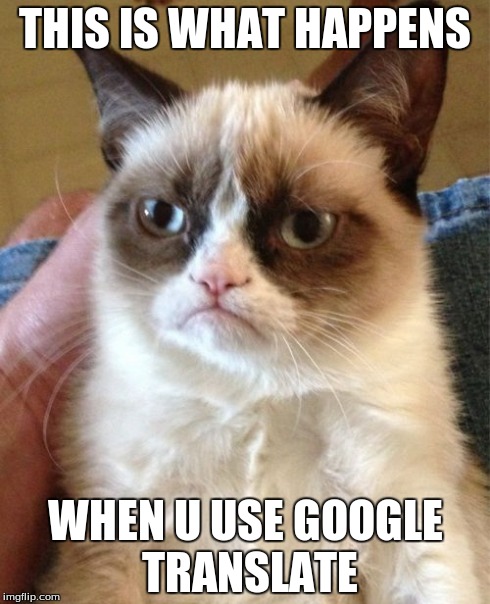 Grumpy Cat Meme | THIS IS WHAT HAPPENS WHEN U USE GOOGLE TRANSLATE | image tagged in memes,grumpy cat | made w/ Imgflip meme maker