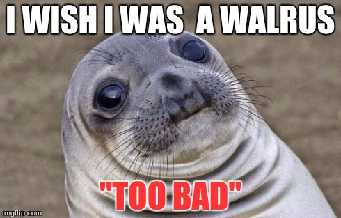 Awkward Moment Sealion | I WISH I WAS  A WALRUS "TOO BAD" | image tagged in memes,awkward moment sealion | made w/ Imgflip meme maker