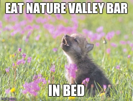 Baby Insanity Wolf | EAT NATURE VALLEY BAR IN BED | image tagged in memes,baby insanity wolf | made w/ Imgflip meme maker