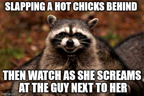 Evil Plotting Raccoon Meme | SLAPPING A HOT CHICKS BEHIND THEN WATCH AS SHE SCREAMS AT THE GUY NEXT TO HER | image tagged in memes,evil plotting raccoon | made w/ Imgflip meme maker
