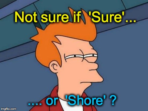 Futurama Fry | Not sure if  'Sure'... .... or  'Shore' ? | image tagged in memes,futurama fry | made w/ Imgflip meme maker