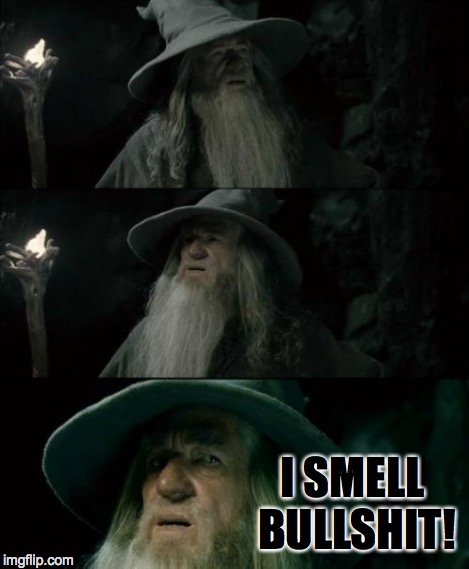 Confused Gandalf Meme | I SMELL BULLSHIT! | image tagged in memes,confused gandalf | made w/ Imgflip meme maker