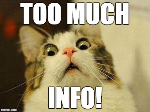 Scared Cat | TOO MUCH INFO! | image tagged in memes,scared cat | made w/ Imgflip meme maker