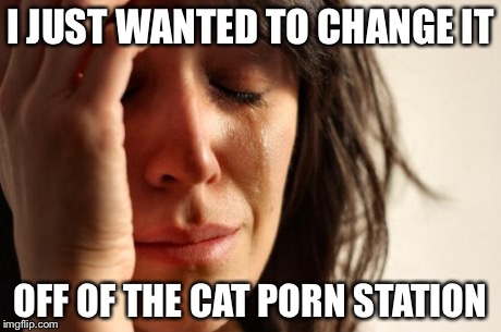 First World Problems Meme | I JUST WANTED TO CHANGE IT OFF OF THE CAT PORN STATION | image tagged in memes,first world problems | made w/ Imgflip meme maker