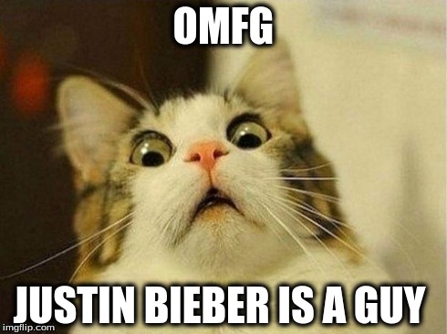 Scared Cat Meme | OMFG JUSTIN BIEBER IS A GUY | image tagged in memes,scared cat | made w/ Imgflip meme maker