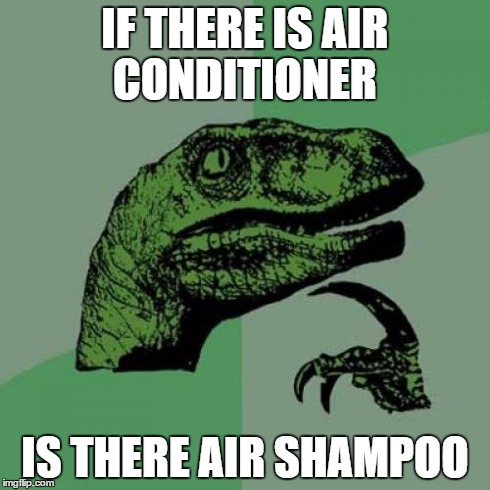 Philosoraptor | IF THERE IS AIR CONDITIONER IS THERE AIR SHAMPOO | image tagged in memes,philosoraptor | made w/ Imgflip meme maker