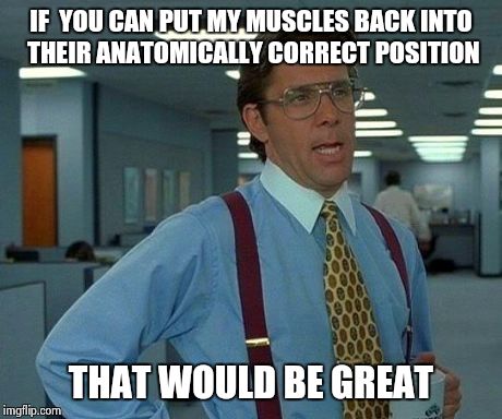 muscle spasms 
chiropractors | IF  YOU CAN PUT MY MUSCLES BACK INTO THEIR ANATOMICALLY CORRECT POSITION THAT WOULD BE GREAT | image tagged in memes,that would be great | made w/ Imgflip meme maker