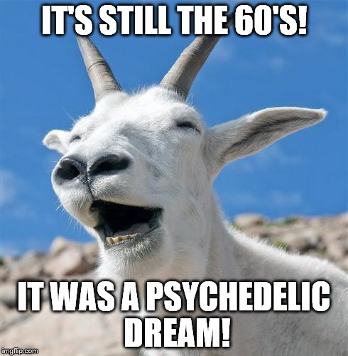 Laughing Goat | IT'S STILL THE 60'S! IT WAS A PSYCHEDELIC DREAM! | image tagged in memes,laughing goat | made w/ Imgflip meme maker