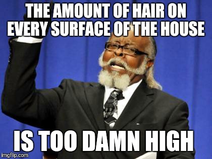 Too Damn High | THE AMOUNT OF HAIR ON EVERY SURFACE OF THE HOUSE IS TOO DAMN HIGH | image tagged in memes,too damn high | made w/ Imgflip meme maker