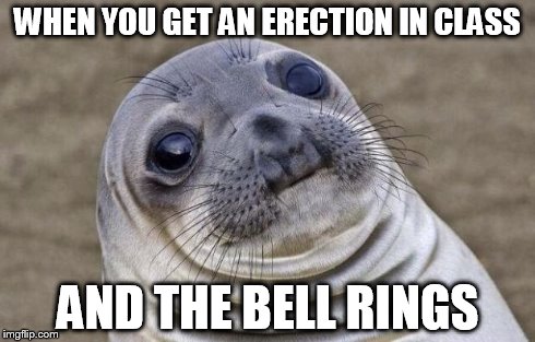 Awkward Moment Sealion | WHEN YOU GET AN ERECTION IN CLASS AND THE BELL RINGS | image tagged in memes,awkward moment sealion | made w/ Imgflip meme maker