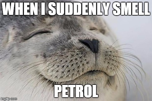 Satisfied Seal Meme | WHEN I SUDDENLY SMELL PETROL | image tagged in memes,satisfied seal | made w/ Imgflip meme maker