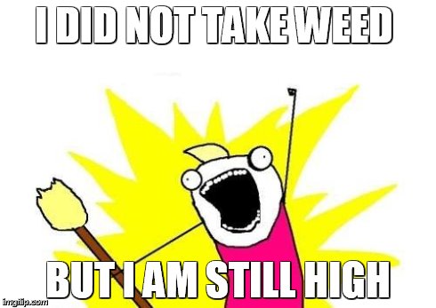 X All The Y | I DID NOT TAKE WEED BUT I AM STILL HIGH | image tagged in memes,x all the y | made w/ Imgflip meme maker