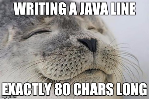 Satisfied Seal Meme | WRITING A JAVA LINE EXACTLY 80 CHARS LONG | image tagged in memes,satisfied seal | made w/ Imgflip meme maker