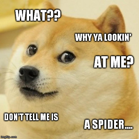 Doge | WHAT?? WHY YA LOOKIN' AT ME? DON'T TELL ME IS A SPIDER.... | image tagged in memes,doge | made w/ Imgflip meme maker