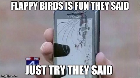 FLAPPY BIRDS IS FUN THEY SAID JUST TRY THEY SAID | image tagged in memes | made w/ Imgflip meme maker