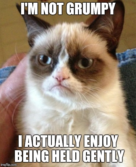 Grumpy Cat | I'M NOT GRUMPY I ACTUALLY ENJOY BEING HELD GENTLY | image tagged in memes,grumpy cat | made w/ Imgflip meme maker