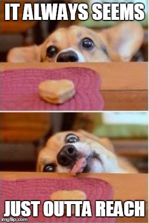 dog trying to reach cookie | IT ALWAYS SEEMS JUST OUTTA REACH | image tagged in dog trying to reach cookie | made w/ Imgflip meme maker