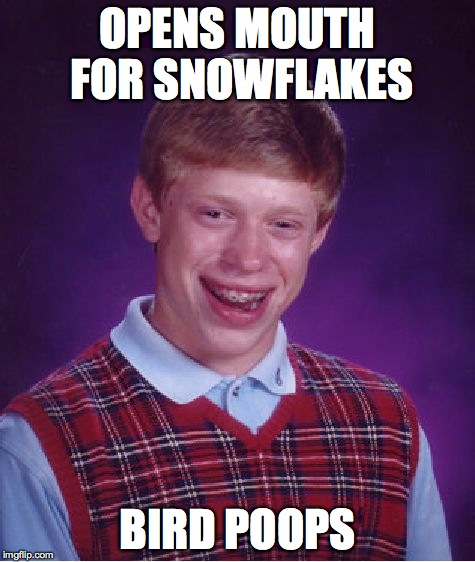 Bad Luck Brian | OPENS MOUTH FOR SNOWFLAKES BIRD POOPS | image tagged in memes,bad luck brian | made w/ Imgflip meme maker
