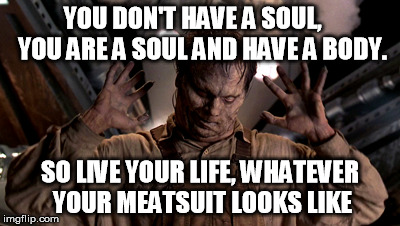 YOU DON'T HAVE A SOUL,    YOU ARE A SOUL AND HAVE A BODY. SO LIVE YOUR LIFE, WHATEVER YOUR MEATSUIT LOOKS LIKE | image tagged in TrollXChromosomes | made w/ Imgflip meme maker