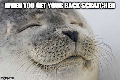Satisfied Seal | WHEN YOU GET YOUR BACK SCRATCHED | image tagged in memes,satisfied seal,AdviceAnimals | made w/ Imgflip meme maker