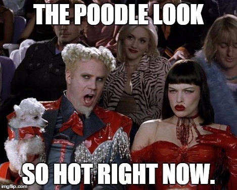 Mugatu So Hot Right Now Meme | THE POODLE LOOK SO HOT RIGHT NOW. | image tagged in memes,mugatu so hot right now | made w/ Imgflip meme maker